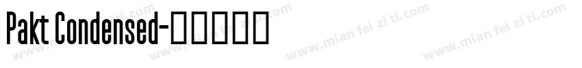 Pakt Condensed字体转换